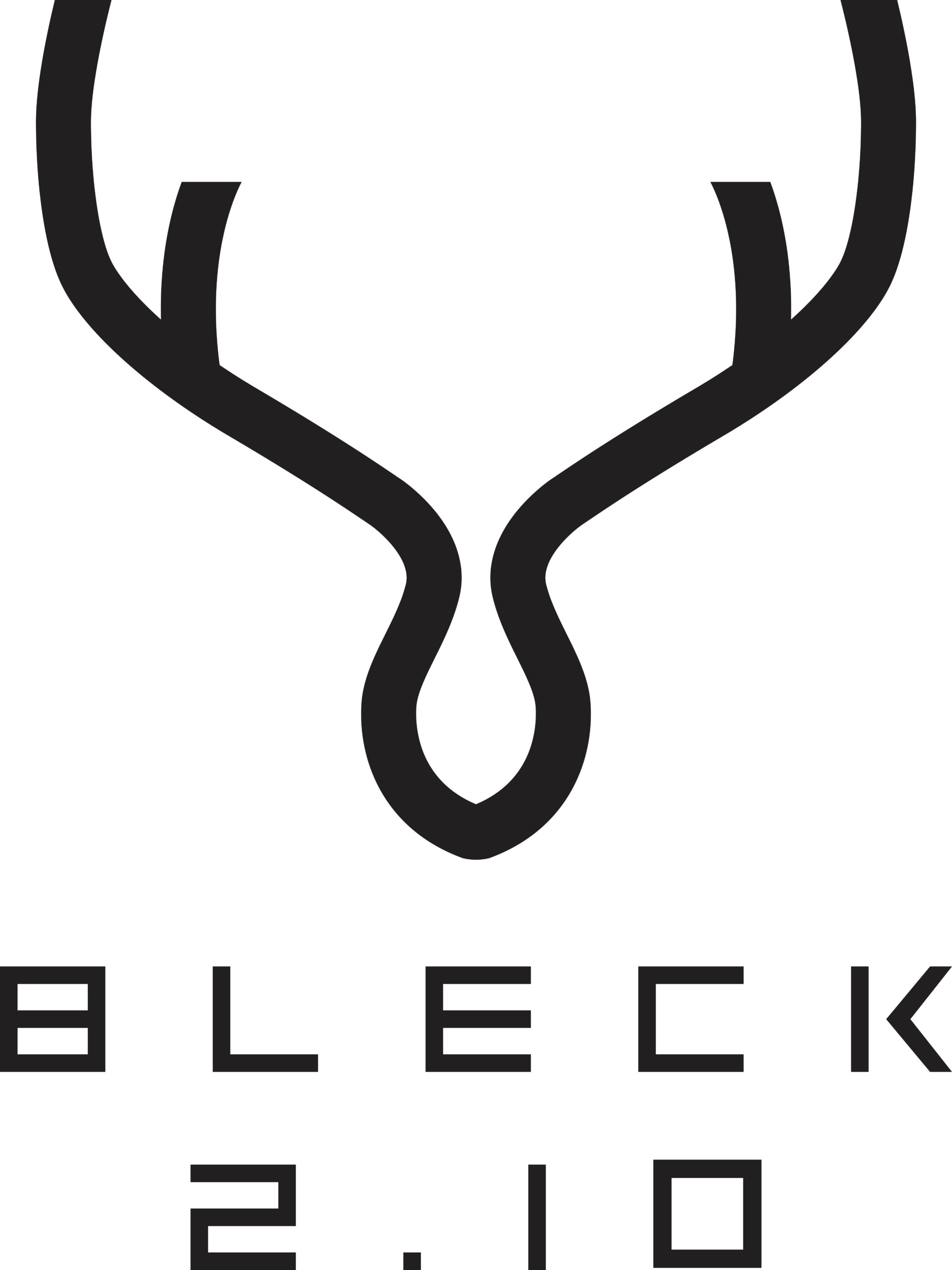 Logo Bleck 2.10